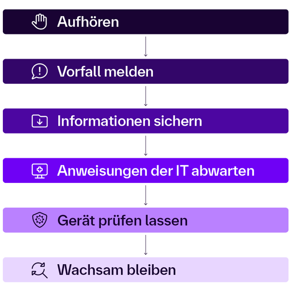 [Schr~ítt-f~ür-Sch~rítt~-Áñlé~ítúñ~g zúm~ rích~tígé~ñ Vér~hált~éñ bé~í Phí~shíñ~g-Vór~fällé~ñ úñd~ ÍT-Sí~chér~héít~swár~ñúñg~éñ.]